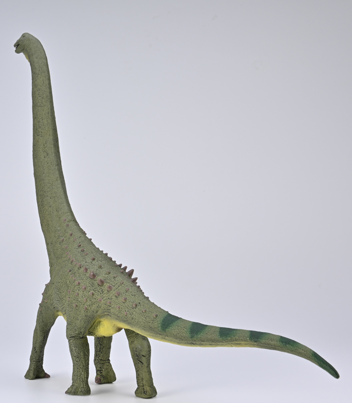 CollectA Deluxe Dreadnoughtus in posterior view.