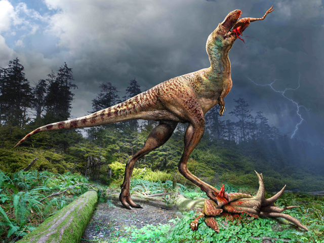 A young Gorgosaurus consumes a Citipes elegans.