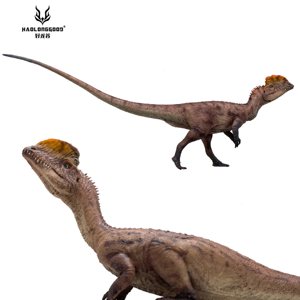 Haolonggood Dilophosaurus (red).