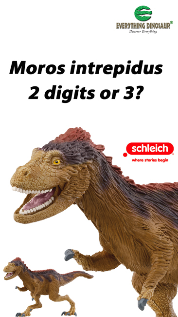 Did Moros intrepidus have two digits on each hand or three?