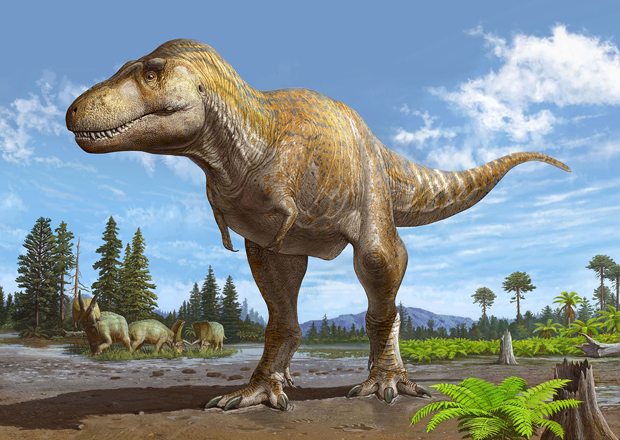 Tyrannosaurus mcraeensis life reconstruction.