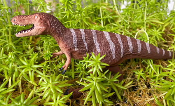 Dino Dana Nanotyrannus dinosaur model.