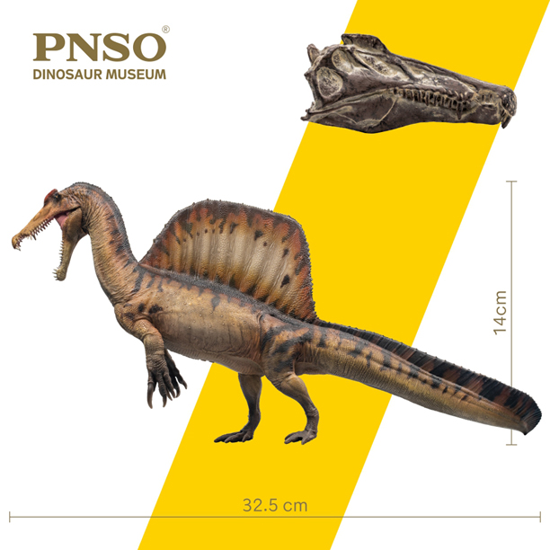 Spinosaurus model measurements.