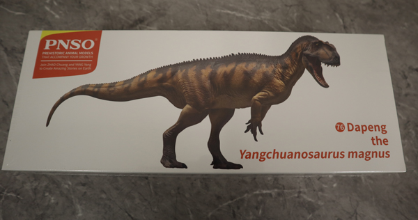 PNSO Yangchuanosaurus "Dapeng" packaging.