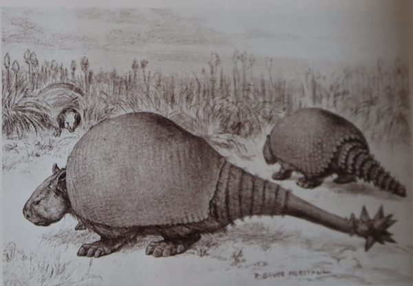 Glyptodonts depicted in "Prehistoric Times" magazine issue 147.