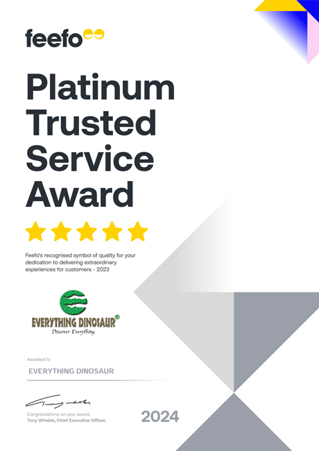 Platinum Trusted Service Award certificate.