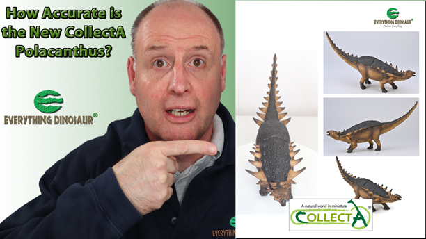 How accurate is the new CollectA Polacanthus?