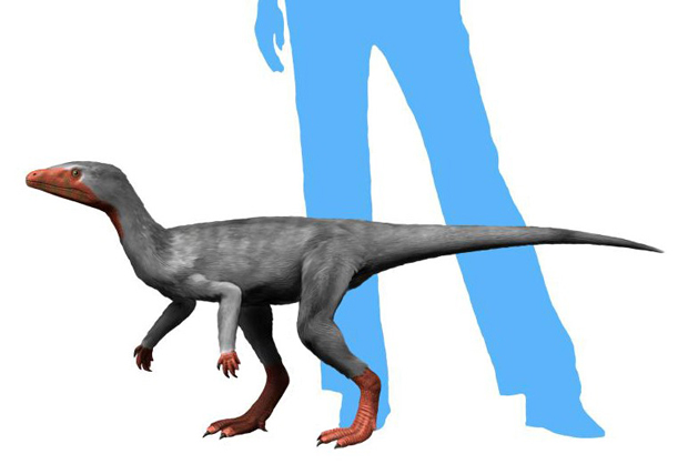 Dinosaur locomotion a key to their evolutionary sucess.
