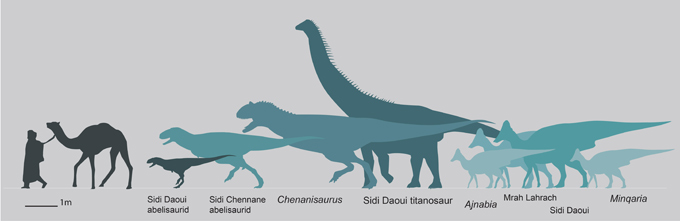 The dinosaur fauna of Morocco during the Late Cretaceous.