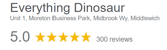 300 5-star Google reviews