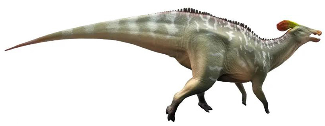 Haolonggood Tlatolophus dinosaur model (An Dao Quan). 