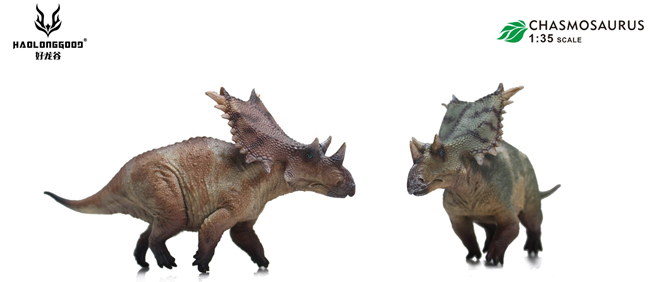 Two Haolonggood Chasmosaurus models.