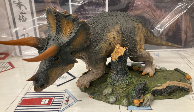 Rebor Triceratops on display.