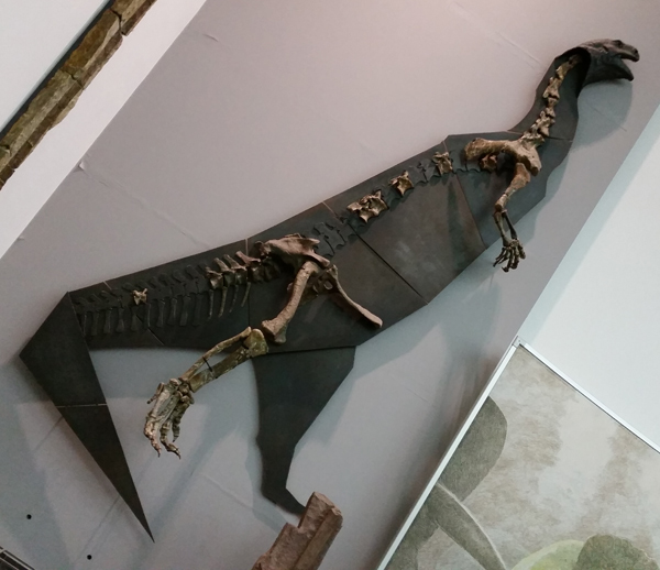 Prosauropds and Plateosaurus.