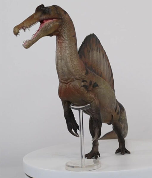 Aymen the Spinosaurus is supplied with a transparent support stand.