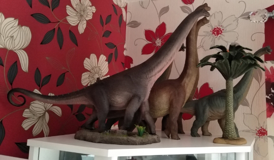 Sauropod dinosaur models on display.