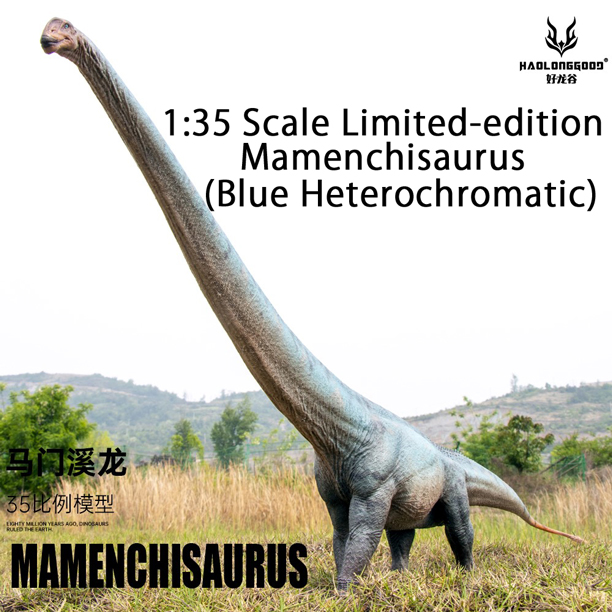 Haolonggood Mamenchisaurus model (blue).