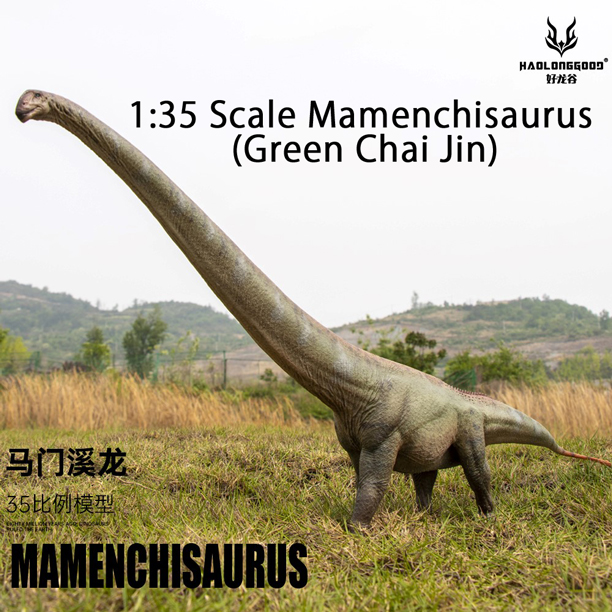 Haolonggood Mamenchisaurus model (green).