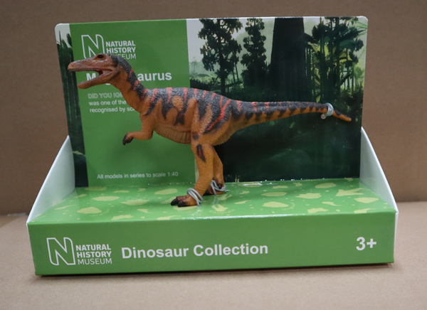Natural History Museum Megalosaurus dinosaur model.