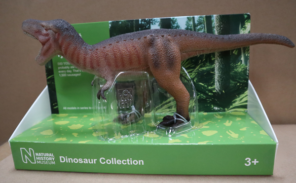 Natural History Museum Tyrannosaurus rex dinosaur model.