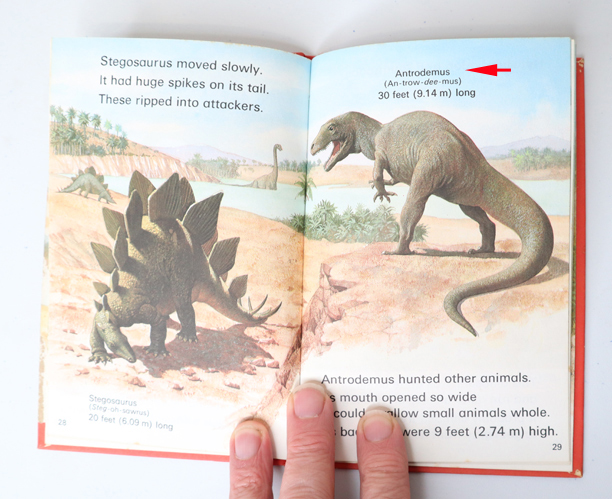 Antrodemus dinosaur illustration.