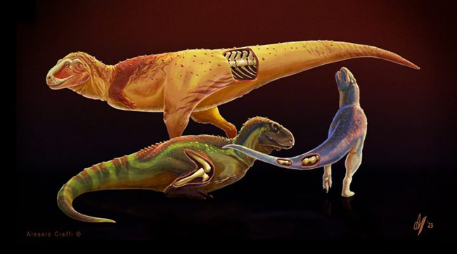 Diseases identified in predatory dinosaurs.