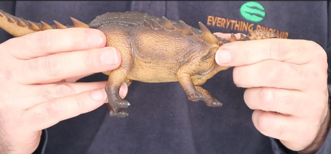 CollectA Deluxe Polacanthus video review - highlighting the spines associated with the humerus.