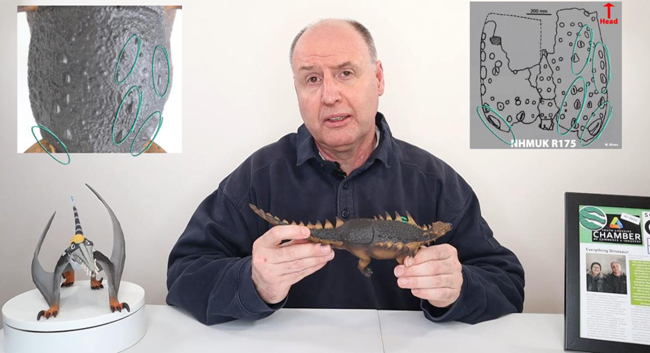 Reviewing the new CollectA Deluxe Polacanthus figure - looking at the sacral shield.