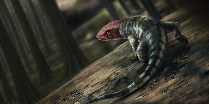 An early amniote life reconstruction.
