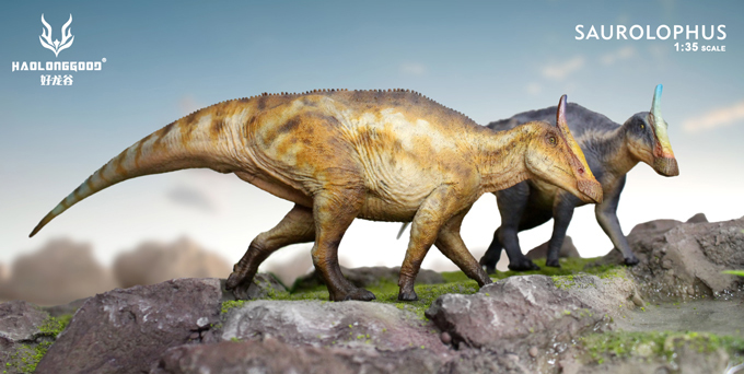 Haolonggood Saurolophus models.