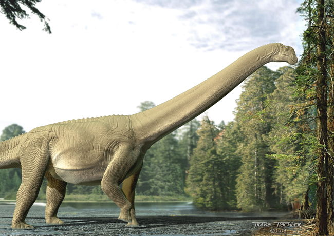 A life reconstruction of Diamantinasaurus matildae.