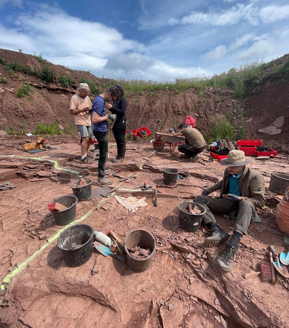 Bromacker June excavations conclude. Once again the Bromacker project team have found some amazing fossils.