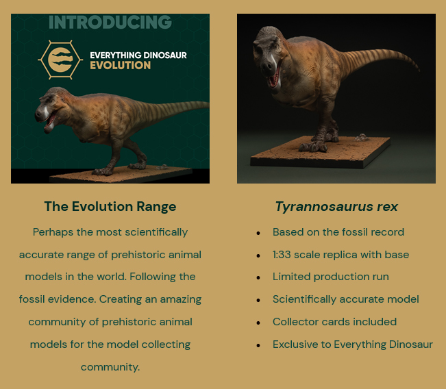 EDE001 the Everything Dinosaur Evolution T. rex figure.