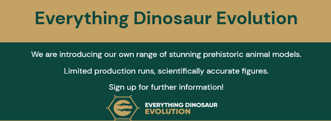 Introducing Everything Dinosaur Evolution.