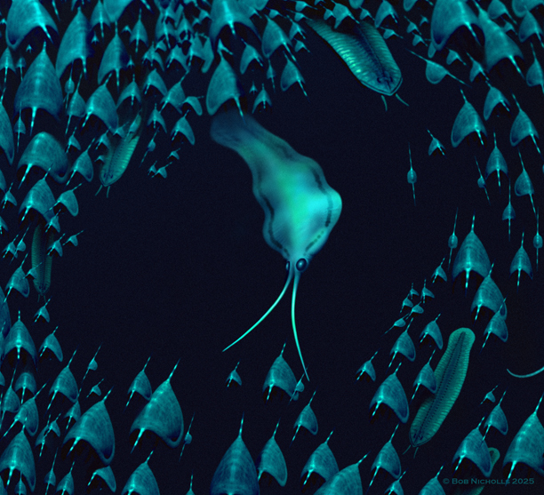 Life reconstruction of Nektognathus.