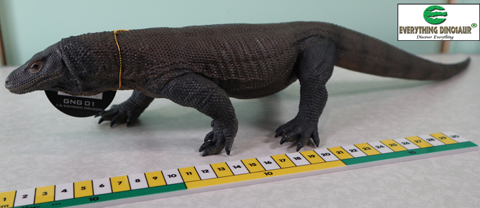 The Rebor Komodo dragon model.