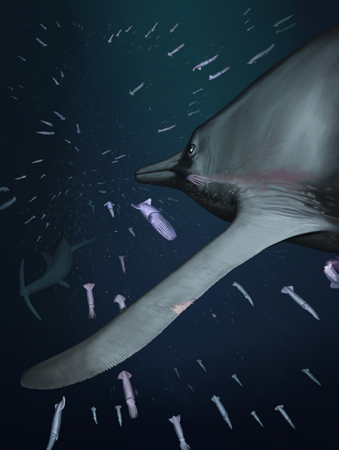 Temnodontosaurus trigonodon hunting squid.