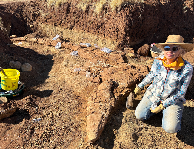 Cassandra Prince with her Australian ichthyosaur discovery.