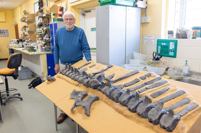 Dr Jeremy Lockwood with the spinal column of Istiorachis macarthurae and some of the pelvic bones.