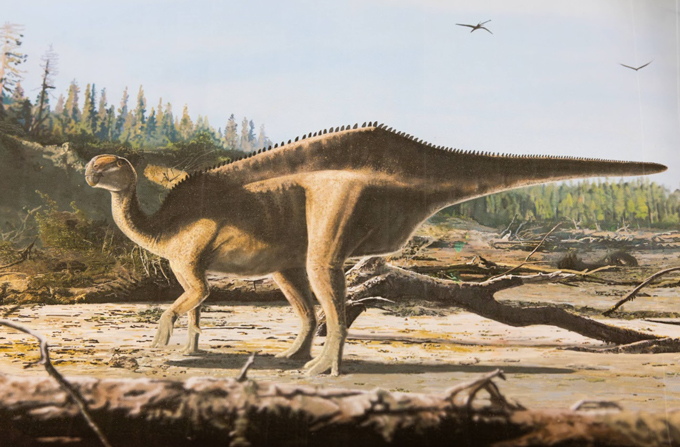 Istiorachis macarthurae life reconstruction.
