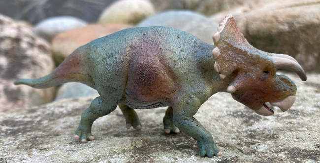 The CollectA Furcatoceratops dinosaur model.