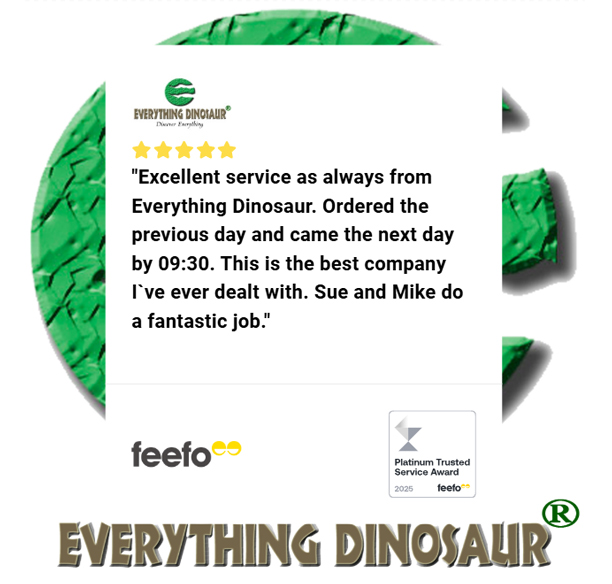 Another extremely positive Feefo review from a customer.