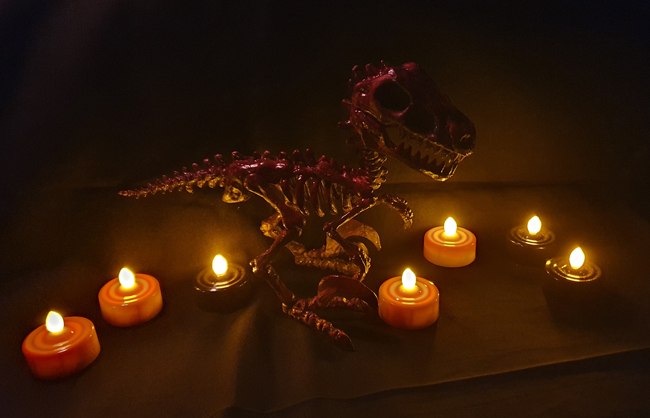 A dinosaur for Halloween.