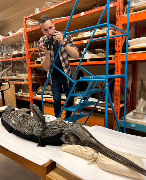 Photographing the holotype Xiphodracon.