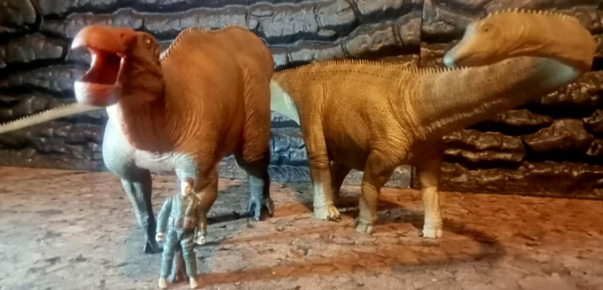 Haolonggood Shantungosaurus model compared to a Diplodocus figure.