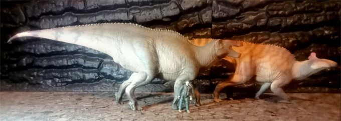 The Haolonggood Shantungosaurus model compared to the PNSO Edmontosaurus.