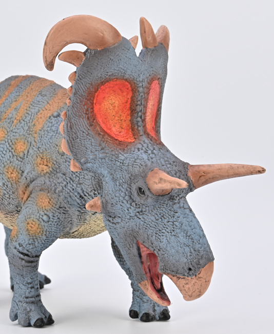 A close-up view of the asymmetrical of the CollectA Deluxe Lokiceratops model.