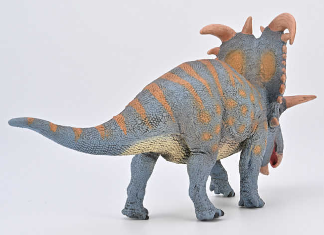 A posterior view of the CollectA Deluxe Lokiceratops model.