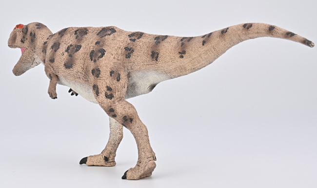 CollectA Deluxe Meraxes 1:40 scale dinosaur model.