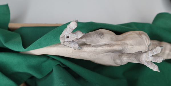 Everything Dinosaur Evolution T. rex assembly guide.